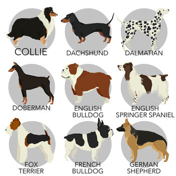 Personalised Dog Print Various Different Breeds, 5 of 8