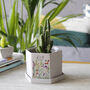 Anniversary Hexagon Plant Pot With Wildflower Design, thumbnail 1 of 4
