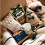 The Dog And Owners Christmas Gift Box, thumbnail 1 of 8