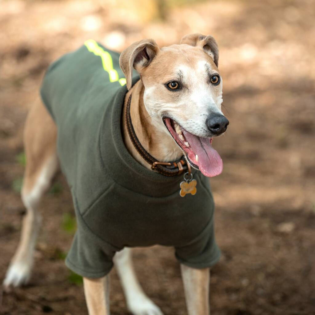 Lurcher Polartec Water Resistant Dog Coat By Stix and Co