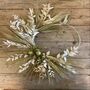 Barley And Ruscus Wreath, thumbnail 5 of 5