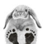 Personalised Baby Rabbit Footprint Kit, thumbnail 5 of 5
