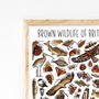 Brown Wildlife Of Britain Print, thumbnail 2 of 5