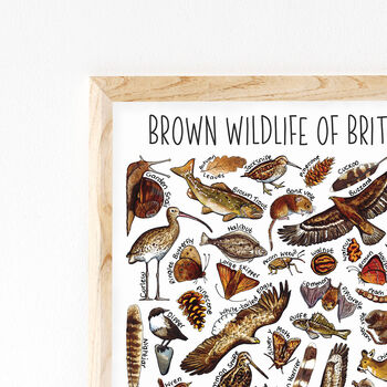 Brown Wildlife Of Britain Print, 2 of 5