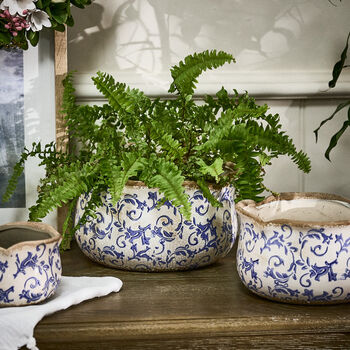 Personalised Gift Set Of Three Solene Blue Botanical Planters, 3 of 11