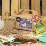 Unicorns Garden Seed Kit: Grow Your Own, Kids Party Bag, thumbnail 1 of 8