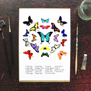 Lepidoptera Butterfly Art Print, 2 of 8