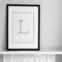 'Letter L' Linear Illustration Print, thumbnail 1 of 7