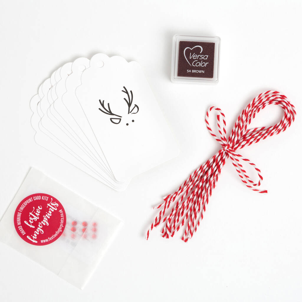 Make Your Own Christmas Reindeer Gift Tag Making Kit By Festive ...