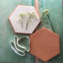 Terracotta Microwave Floor And Herb Press, thumbnail 1 of 3
