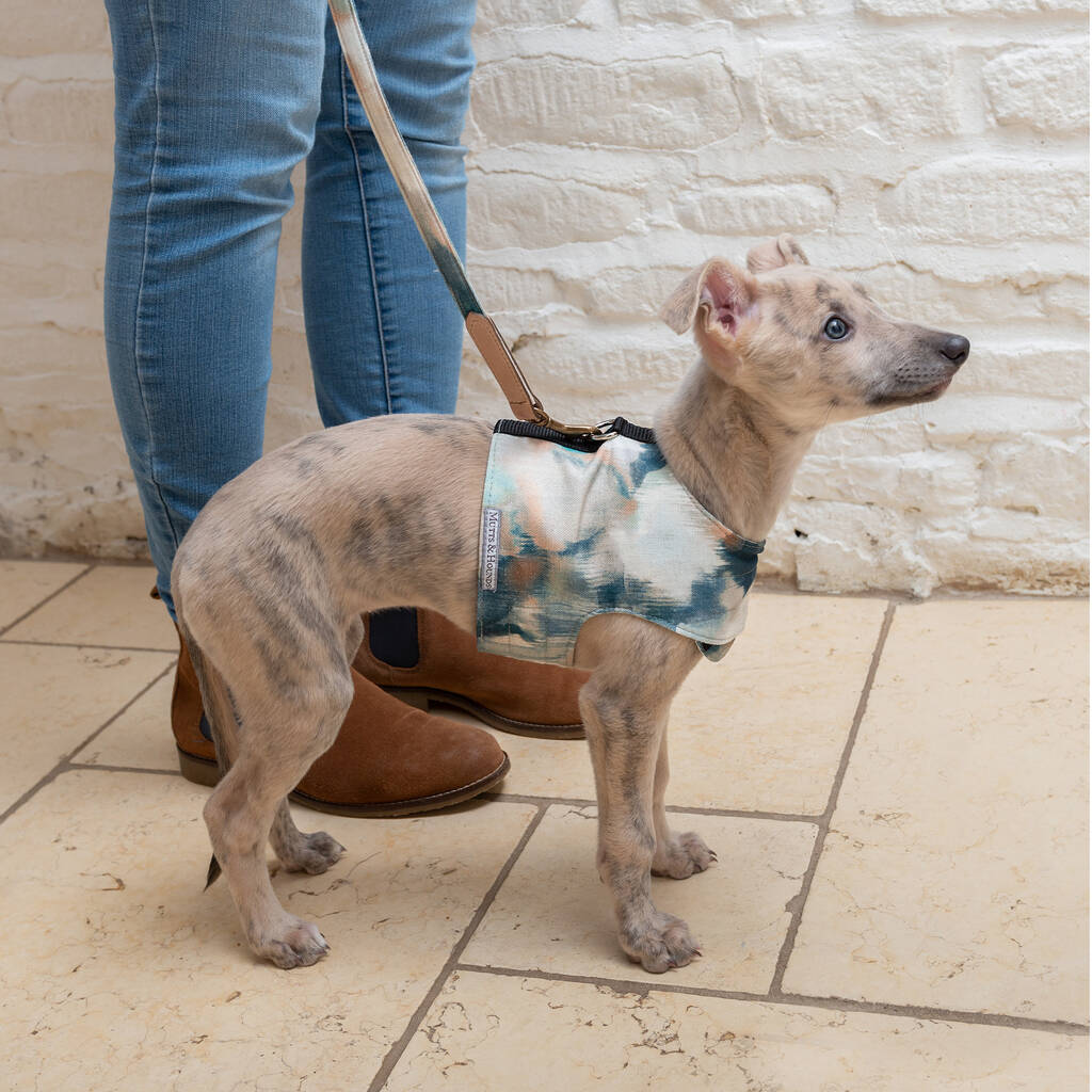 Watercolour Cotton Dog Harness By Mutts & Hounds