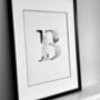 'Letter B' Linear Illustration Print, thumbnail 1 of 6