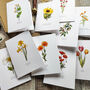 Set Of 10 Different Wildflower Notecards And Envelopes, thumbnail 5 of 7