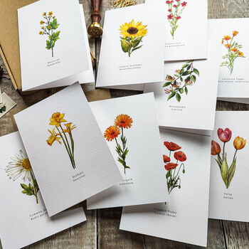 Set Of 10 Different Wildflower Notecards And Envelopes, 5 of 7