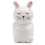 Bunny Money Box For Kids, thumbnail 4 of 7