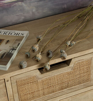 Natural Rattan And Mango 10 Drawer Chest Of Drawers, 4 of 5