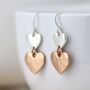 Silver Plated Double Heart Rose Gold Earrings, thumbnail 3 of 5