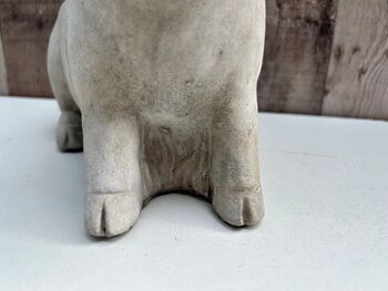 Adorable Pig Plant Pot Stone Indoor Planter Fun Pig Gift, 2 of 10