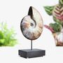 Large Iridescent Ammonite Authentic Fossil Stand, thumbnail 1 of 2