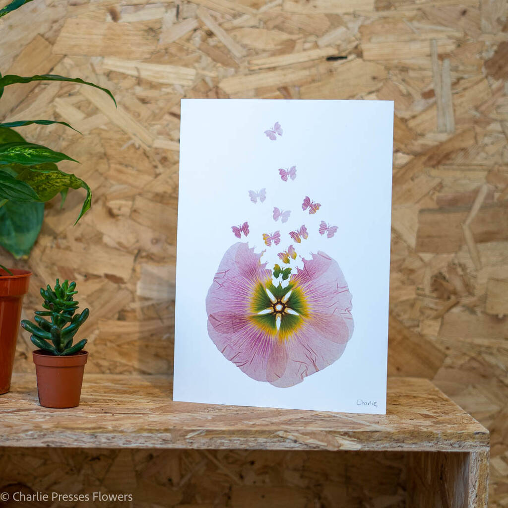 Pink Hollyhock With Butterflies A4 Giclee Print, 1 of 3
