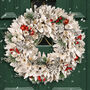 Morning Frost Christmas Door Wreath, thumbnail 1 of 7