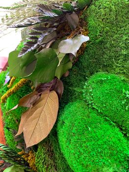 Moss Wall Art Set Of Two, Moss Art Work, 7 of 8