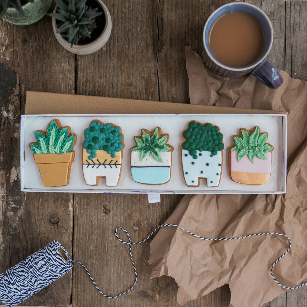 House Plant Biscuit Gift Set By Honeywell Biscuit Co