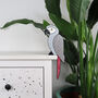 Hand Painted African Grey Parrot Door Decoration, thumbnail 2 of 5