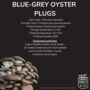 Blue Oyster Mushroom Plug Spawn. Buy Mushroom Dowels, thumbnail 4 of 4