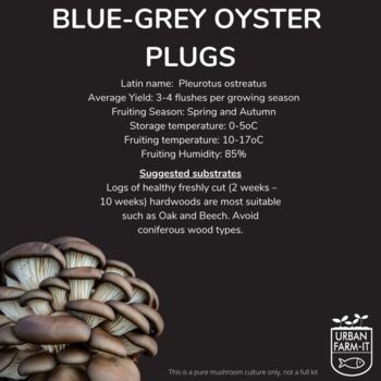 Blue Oyster Mushroom Plug Spawn. Buy Mushroom Dowels, 4 of 4