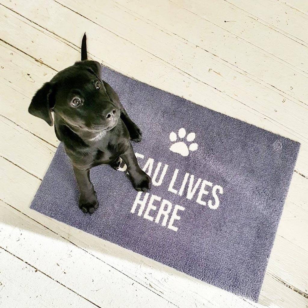 Personalised Dog Doormat By Mattify | Notonthehighstreet.com