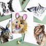 Pack Of Five Pet Themed Blank Greeting Cards, thumbnail 7 of 9