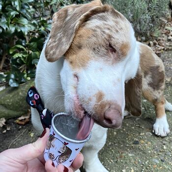 Personalised Heart Pup Cup Birthday Gift For Dog, 9 of 12
