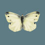 Cabbage White Illustrated Butterfly Card, thumbnail 2 of 2