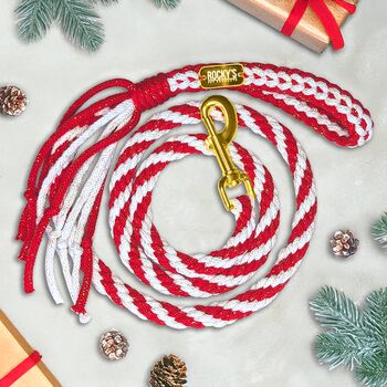 Make Your Own Candy Cane Sparkle Dog Lead Craft Kit, 3 of 6