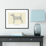 Jack Russell Terrier Print, thumbnail 4 of 5