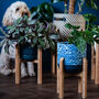 Bamboo Plant Stands, thumbnail 7 of 9