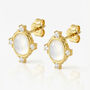 Gold Pearl Oval Stud Earrings, Women's Jewellery, thumbnail 1 of 4