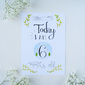 Baby 1st Year Milestone Cards, 4 of 7