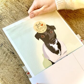 Personalised Hand Drawn Colour Pet Portrait, 11 of 11