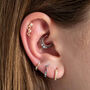 14 Carat Gold Conch Helix Barbell Earring, thumbnail 4 of 6