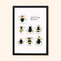 Illustrated British Bees Springtime Print Unframed, thumbnail 3 of 6