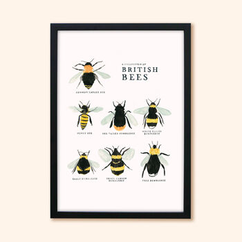 Illustrated British Bees Springtime Print Unframed, 3 of 6