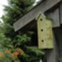 Flat Wooden Sparrow Nesting Box House – Wall Mounted, thumbnail 2 of 3