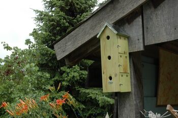 Flat Wooden Sparrow Nesting Box House – Wall Mounted, 2 of 3