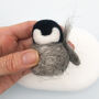 Needle Felting Kit Baby Penguins, thumbnail 4 of 12