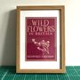'Wild Flowers In Britain' Framed Vintage Print, thumbnail 1 of 3