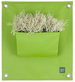Hanging Plant Pocket And Organiser, 6 of 12