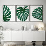 Set Of Three Black And White Monstera Leaves Prints, thumbnail 3 of 8