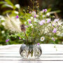 Grow Your Own Wildflower Bouquet And Vase Gift Set, thumbnail 12 of 12